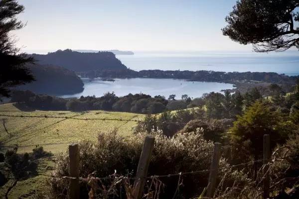 房车自驾新西兰北岛Wenderholm Regional Park